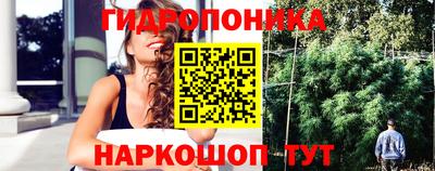 гашик Нальчик