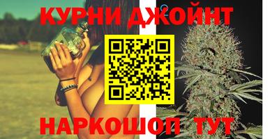 гашик Нальчик