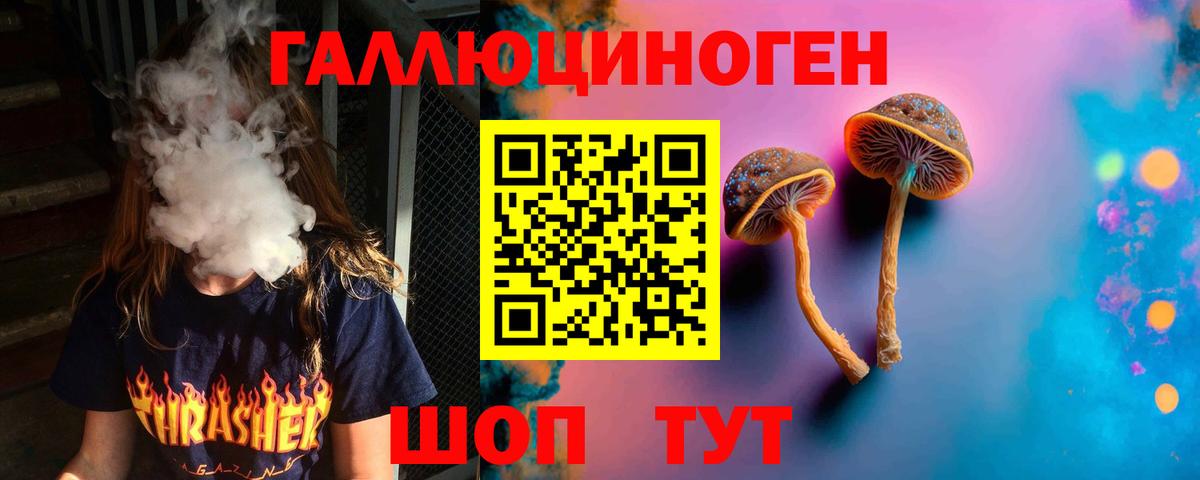 Псилоцибиновые грибы Psilocybe Сланцы