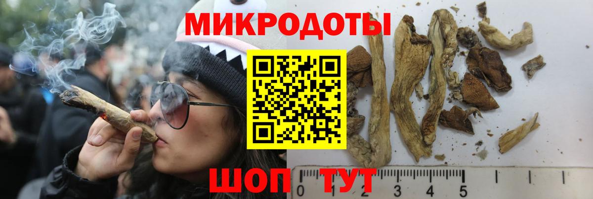 Псилоцибиновые грибы Psilocybe  Вход с VPN  Сланцы 