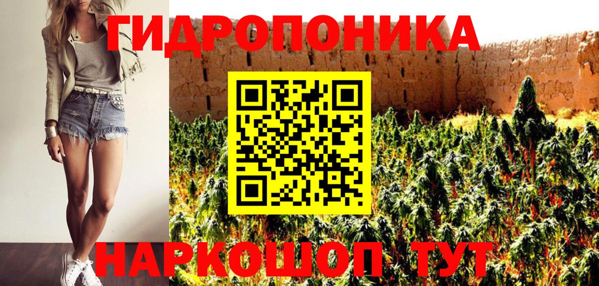Сланцы  Марихуана индика  Шишки марихуана семена  Шишки марихуана Ganja  Вход с VPN 